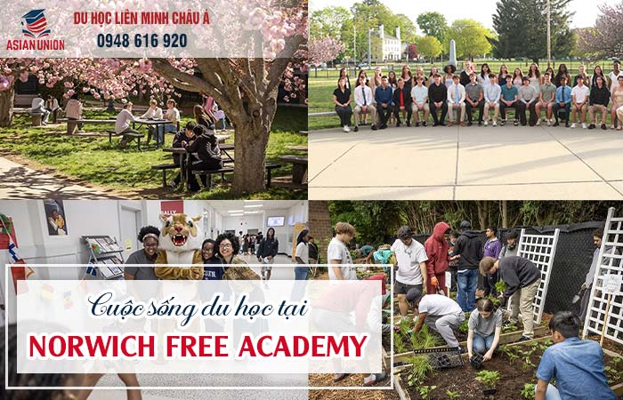Cuộc sống du học tại Norwich Free Academy