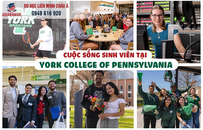 Cuộc sống sinh viên tại York College of Pennsylvania
