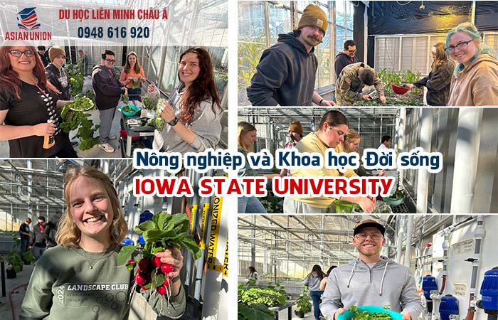 Trường nông nghiệp và khoa học đời sống đại học bang Iowa