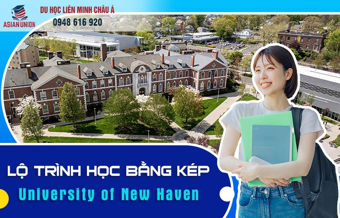 Lộ trình học bằng kép tại University of New Haven