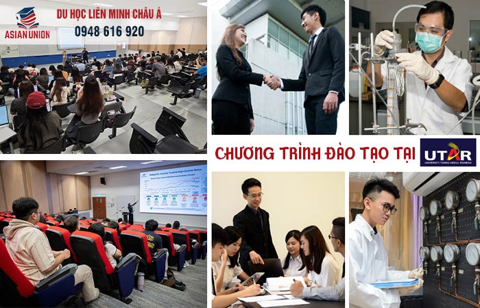 Chương trình đào tạo tại UTAR
